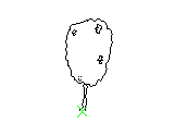 B2VLN020.dwg