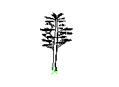 B2VLN028.dwg