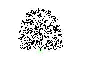B2VLN040.dwg