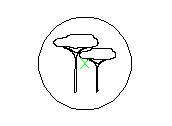 B5PLN225.dwg