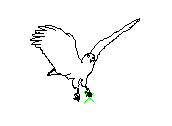 C1VLN001.dwg