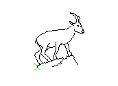 C1VLN006.dwg