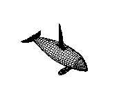 C23DN068.dwg