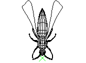 C23DN069.dwg
