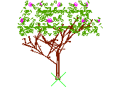 D43DN003.dwg