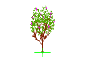 D43DN004.dwg