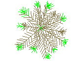D53DN001.dwg