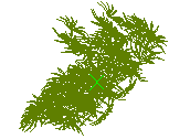 D53DN006.dwg