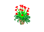 D53DN016.dwg