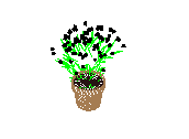 D53DN023.dwg