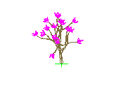 D53DN028.dwg