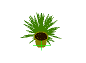 D53DN036.dwg