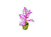 D53DN047.dwg
