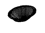 OSIRIS 3D.dwg