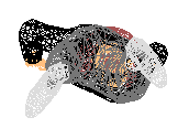 PERSONA_2.dwg