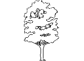 ARVFS501.dwg