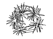 MAS-C-PLAN-CIR.dwg