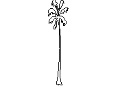 PAL-X1.dwg