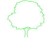 ARB-47.dwg
