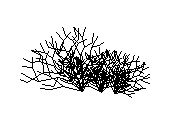 YUYO.dwg