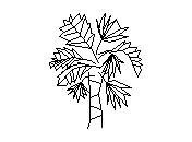 b2vln007.dwg