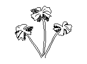 b2vln009.dwg