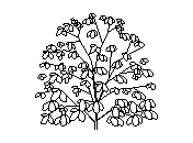 b2vln040.dwg