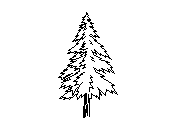 b2vls024.dwg