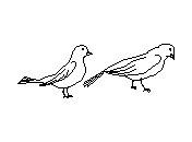 c1vln007.dwg