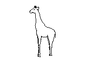 c1vln012.dwg