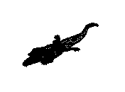 c23dn016.dwg