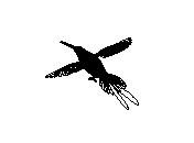 c23dn051.dwg