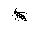 c23dn069.dwg