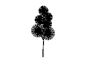 d3vln001.dwg