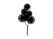 d3vln004.dwg