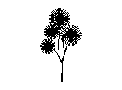 d3vln006.dwg