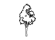 d3vln067.dwg