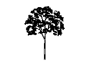 d3vln071.dwg