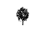 d43dn002.dwg