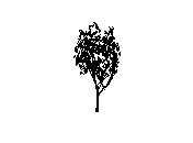d43dn004.dwg