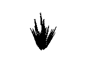 d43dn007.dwg
