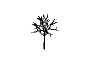 d43dn012.dwg