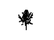 d43dn029.dwg
