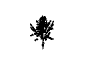 d43dn030.dwg