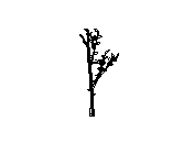 d43dn042.dwg