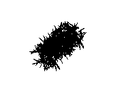 d53dn007.dwg
