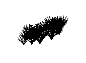 d53dn012.dwg