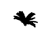 d53dn013.dwg