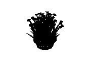d53dn024.dwg