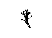 d53dn027.dwg